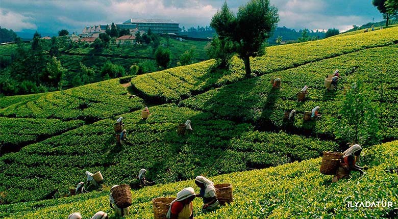 Batumlu Karadeniz Turu – İlyada Tur