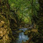 Ayazma Turu – İlyada Tur