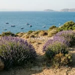 Bozcaada mı, Gökçeada mı? Karar Vermenizi Sağlayacak Karşılaştırma