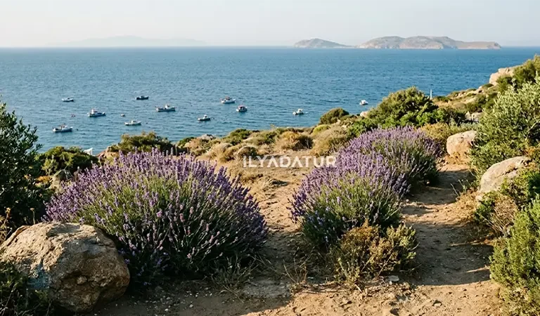 Bozcaada mı, Gökçeada mı? Karar Vermenizi Sağlayacak Karşılaştırma