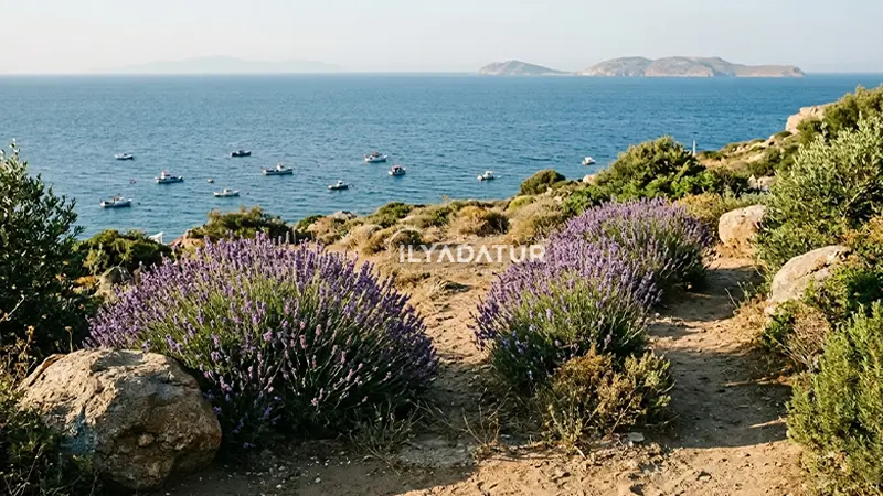 Bozcaada mı, Gökçeada mı? Karar Vermenizi Sağlayacak Karşılaştırma